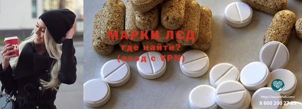 индика Алексин