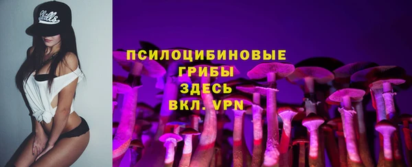 стафф Абинск