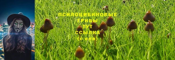 метадон Абаза