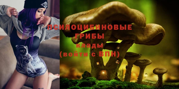 стафф Абинск